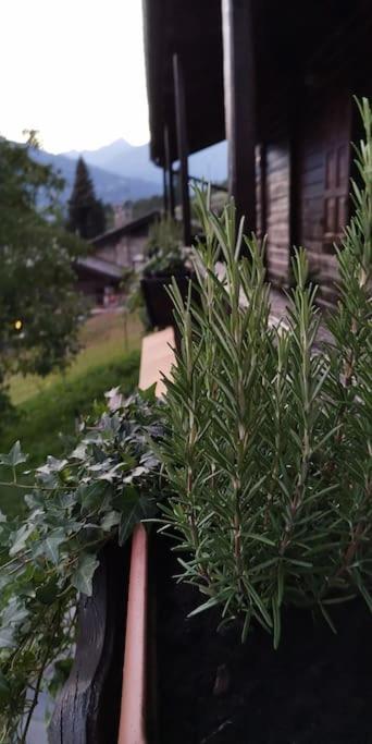 La Maison De Carmen Aosta Esterno foto